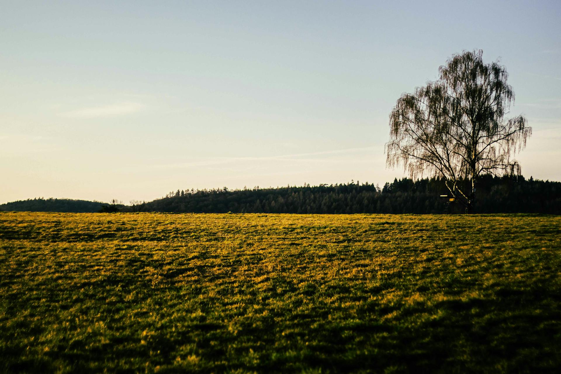 pexels-arlindphotography-31472288
